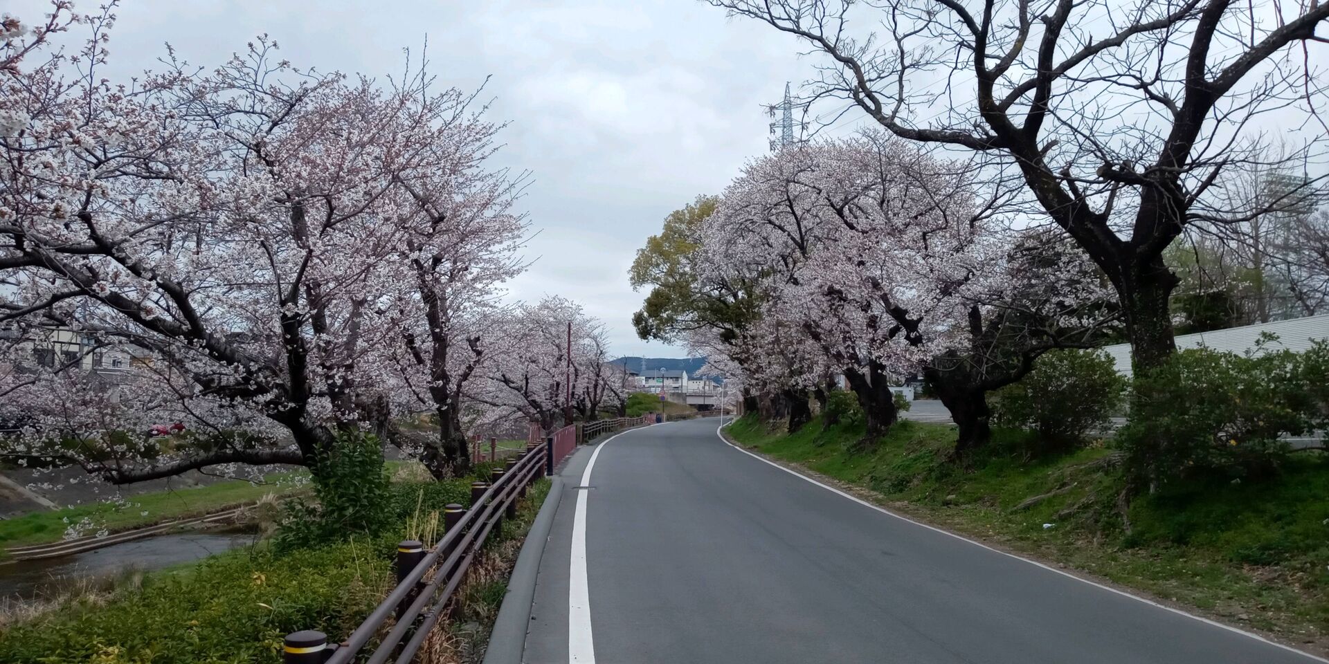 喜び😊
